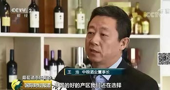 本土特色與大單品 國(guó)產(chǎn)葡萄酒在銷售壓力下的突圍路徑探索